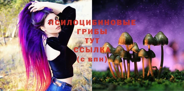 индика Абдулино