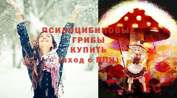 стаф Алексин
