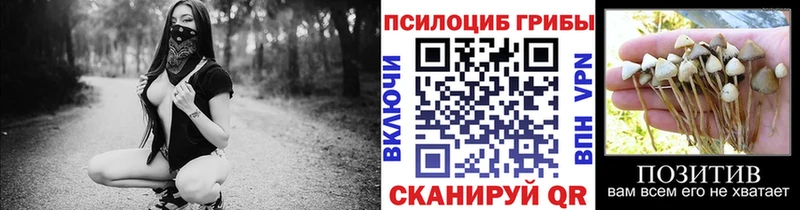 дарнет шоп Каменск-Уральский Галлюциногенные грибы мухоморы